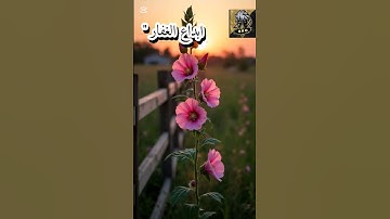 #قرآن كريم.. صوت رائع .. استمع ب قلب خاشع سبحان الله هذا خلق الله فأرونى ماذا خلق اللذين من دونه !؟