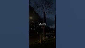أَلَم يَعلَموا أَنَّ اللَّهَ هُوَ يَقبَلُ التَّوبَةَ ｜ ياسر الدوسري ｜ سورة التوبة ｜ #قرآن