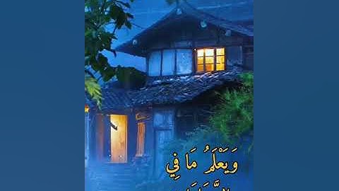 سورة ال عمران ايه 29