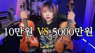 10만원대 바이올린vs5000만원대 바이올린 ㅣ10만원대 바이올린 추천🎻Stentor 1018ㅣ초보자용 바이올린 구매 꿀팁✨