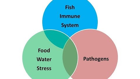 What are causes, how to prevent fish diseases: The Germ theory versus the Terrain theory