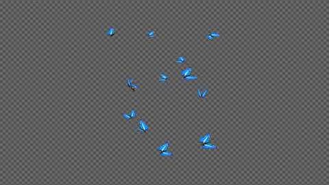 Butterflies - Blue Swarm - Resizable Loop - 4K