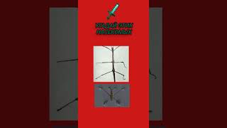 2 часть угадай насекомых
