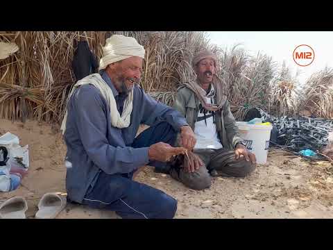 برنامج حكايات شلغوم الحلقة 3 الجزء الرابع مغامرات مع بشير ڨريرة