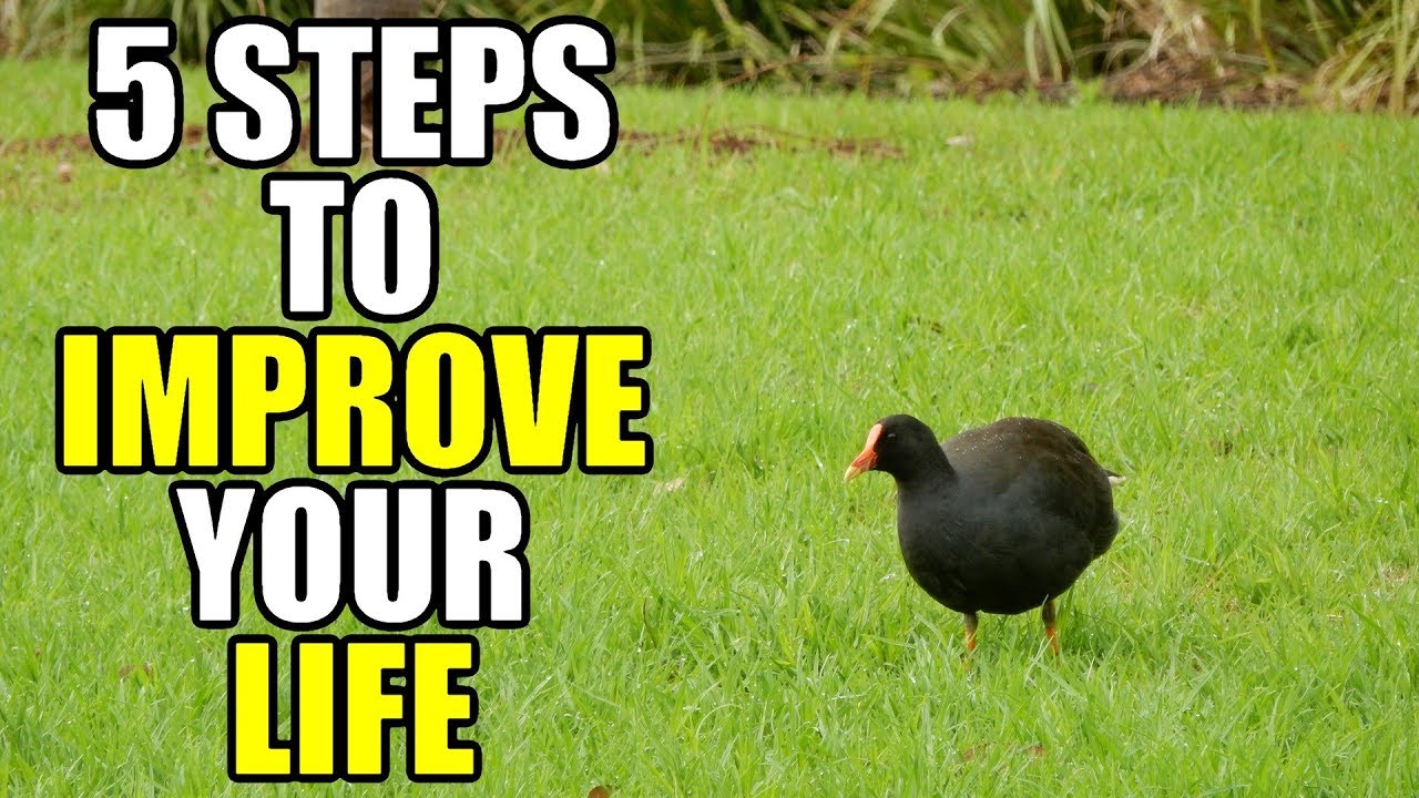5 Steps to Improve Yourself and Your Life - YouTube