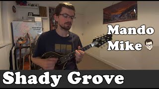 Shady Grove - Melody & Chords - Mandolin Lesson (Intermediate)