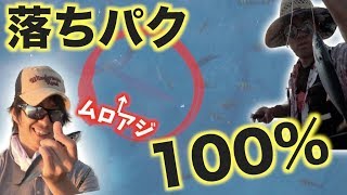 【釣り王国】南大東島で大物を狙う！！ 2話