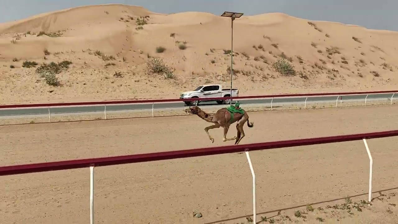 ش 1بحرين - محمد ناصر علي دلوان الكتبي 10:02