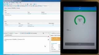 ByteBlower Wireless Endpoint Demo