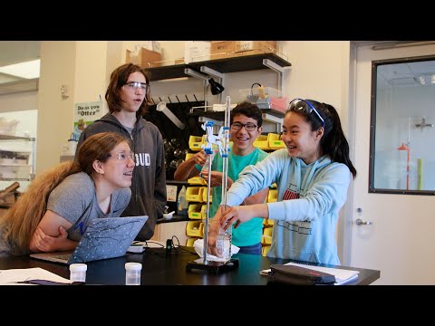 Video post from The Nueva School.