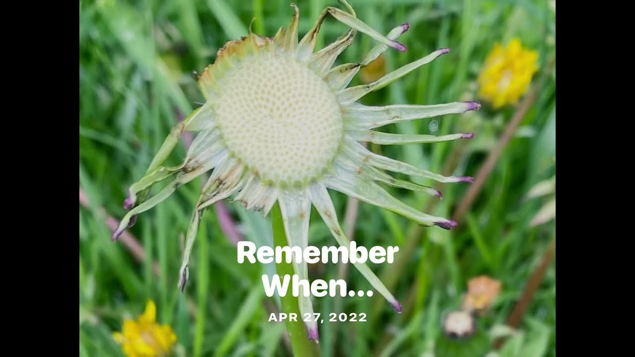 Beautiful Codorus State Park!!  