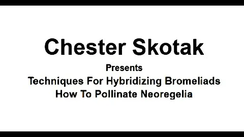 Chester Skotak - Hybridizing & Pollinating Bromeli...