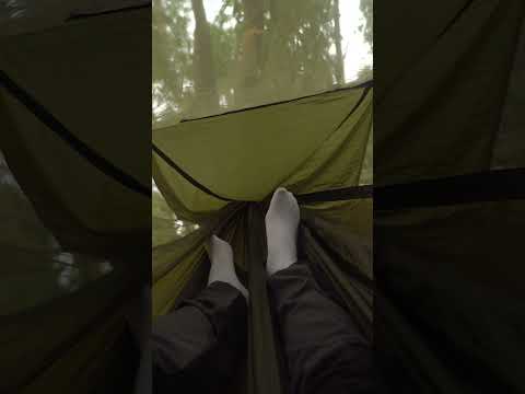 Video: Catalina Island Camping - Khu cắm trại và cách lấy đồ ở đó
