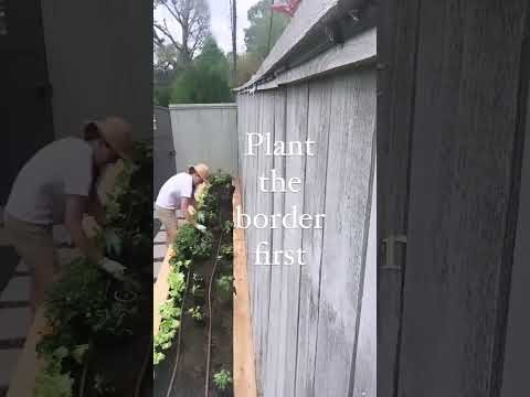 Video: Tuinteelt: tips voor tussenplanten en intensief tuinieren