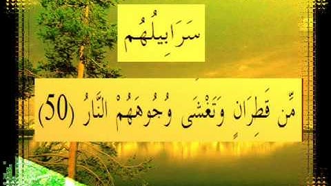 القرآن الكريم سورة إبراهيم الأية 50 قراءة السديس