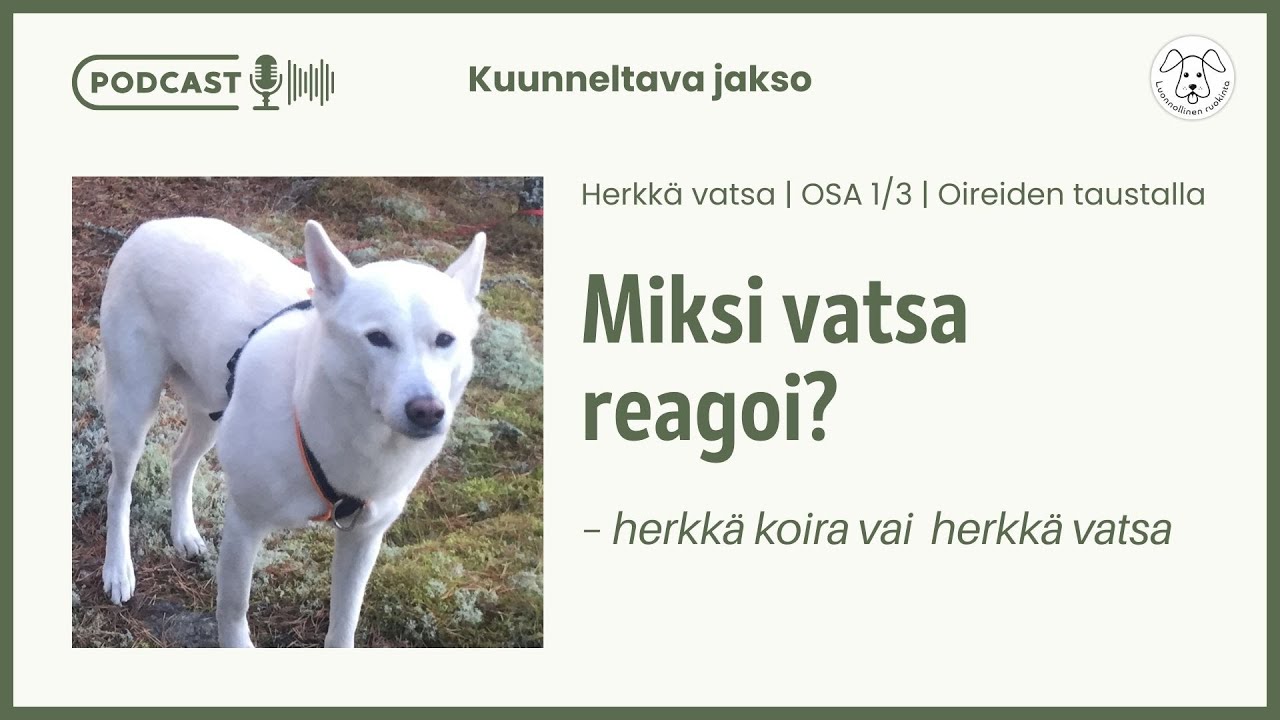 Herkkävatsainen koira - miksi maha menee helposti sekaisin | Osa 1/3