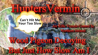 Air Rifle Hunting Wood Pigeon Decoying But Just How Slow Am I
