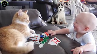 Babies , cats, and dogs making the funny scene 😆😂😜😍😘😋💐 by Mr Best 1,047 views 3 years ago 4 minutes, 21 seconds