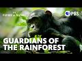 Kibale National Park and the Congo Rainforest Ecosystem Quiz