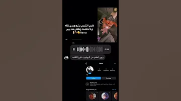 كلب العمات الزنچي 