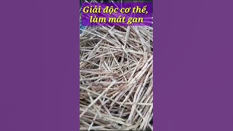 Rễ cỏ Tranh có tác dụng làm mát GAN| Hằng Lê HG85 #shorts