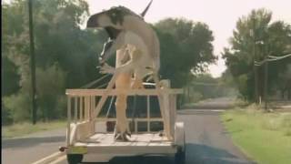 Dinosaur Attack Part 1