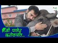 भैँसी पालेर करोडपति बन्न सफल सरोज घिमिरे || Successful buffalo farm in Nepal || Agro Tv Nepal