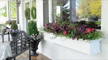 Planting Shade-Loving Plants in My Window Boxes! 🌥🌿😍// Garden Answer