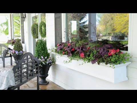 Planting Shade-Loving Plants in My Window Boxes Garden Answer