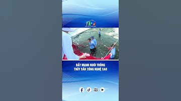 ĐẨY MẠNH NUÔI TRỒNG THỦY SẢN CÔNG NGHỆ CAO | BÁO VÀ PTTH LÂM ĐỒNG