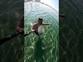 #Анапа Купаюсь в море в #Джемете 18 апреля 2025