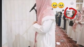 Сура Аль Бакара/читает Как Мухаммад Люхайдан Абдурахман Наджи
