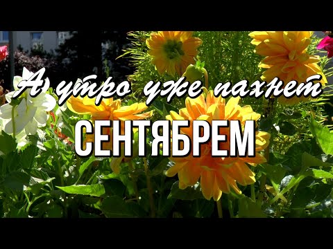 Доброе утро! Все дороги Августа ведут в Сентябрь... Время не подвластно остановке...