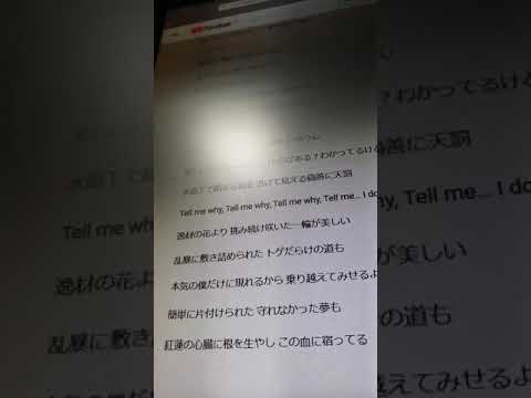 4.鬼滅の刃主題歌　紅蓮華  イノイタルくんカバーをデュエットしてみた(^^)