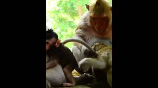 Best Video Of Mother Daisym, Giving Comfortable 101