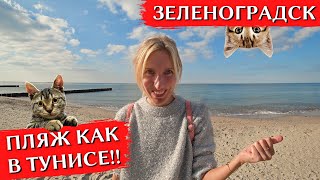 ZELENOGRADSK, Kaliningrad region | Attractions, beach, what to see in the city of cats | ENG SUBS