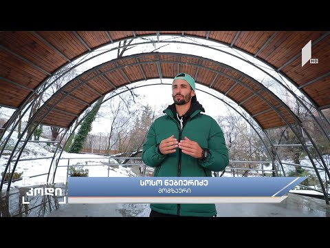 #დღისკოდი მოგზაური ბლოგერის სოსო ნებიერიძის ისტორია პოლონეთი - უკრაინის საზღვრიდან