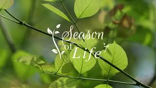 Season of Life at Evolve Back, Kabini