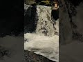 Slow Down & Breathe 🌿 | Quiet Nature Sounds