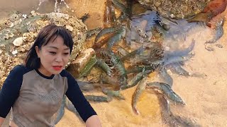[Xiao Zhang's beach rush yields prawns & starfish galore from pipe!]