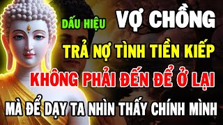 Phật Dạy: Vợ Chồng Trả Nợ Tình Tiền Kiếp – Càng Không Hiểu, Càng Khổ Đau Suốt Đời | Hoa Của Đạo