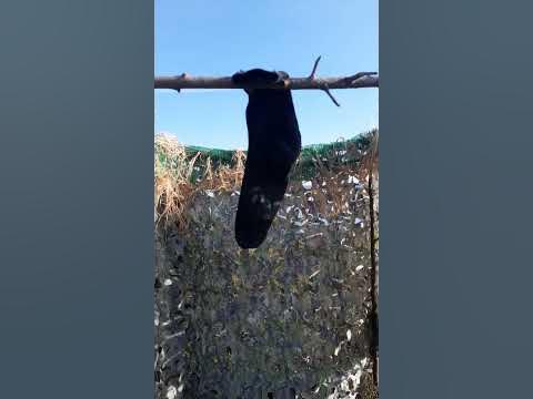 НАсок промочил.. - YouTube