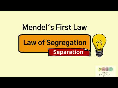 Video: Ce este legea segregării în genetică?
