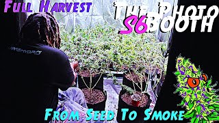 The Photo Booth S6 Ep. 15 | Full Harvest | From Seed To Smoke
