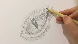 Unleash your inner artist by watching this video. learn how to draw a
cool eye of dragon. also check out my other videos for more. ; )