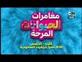 إعلان فقرة مغامرات الحيوانات المرحة كرتون نتورك بالعربية