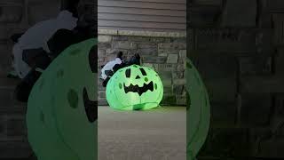 Hyde & Eek! Ghost Cat inflatable from Target. #halloween #targetfinds