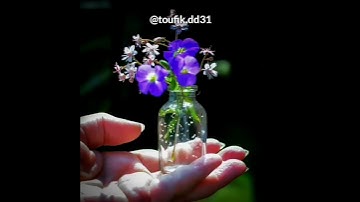 أرح سمعك -قرآن كريم بصوت ياسر الدوسري/حالات واتساب دينية /مقاطع دينية قصيرة /مقاطع إنستقرام دينية