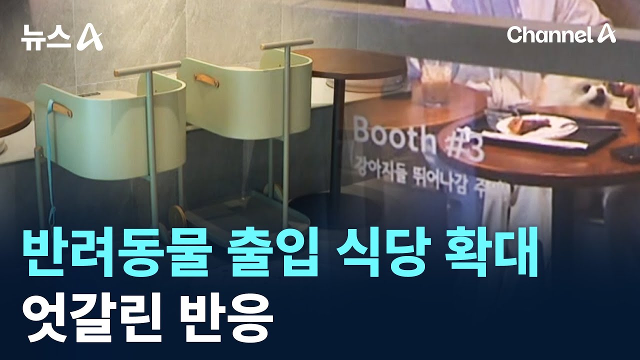 반려동물 출입 식당 확대…엇갈린 반응 / 채널A / 뉴스A