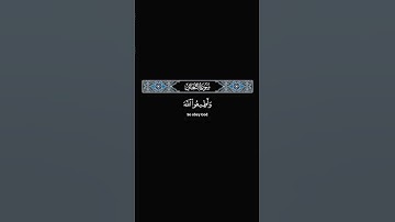 واطيعوا الله واطيعوا الرسول #علي_جابر #quran #tilawat #ياسر_الدوسري #تلاوة_خاشعة #راحة_نفسية